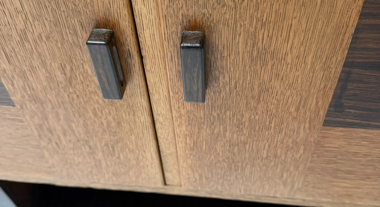 Art Deco Modernist Cabinet by 't Woonhuys Amsterdam, 1920s